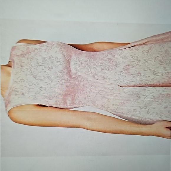 Ted Baker Blush Lace Fit & Flare Dress - Picture 4 of 12